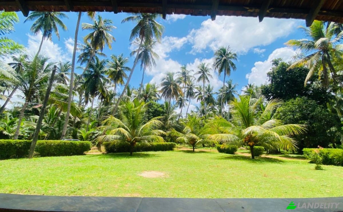 Bungalow for Sale Dummalasuriya, Puttalam, North Western Province, Sri Lanka. Photo 1