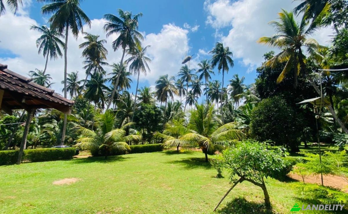 Bungalow for Sale Dummalasuriya, Puttalam, North Western Province, Sri Lanka. Photo 7