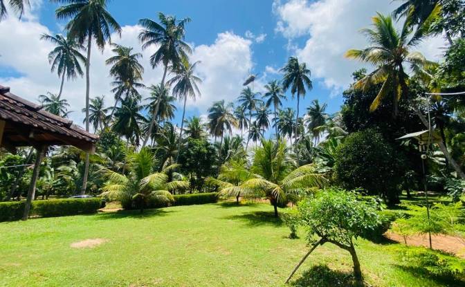Bungalow for Sale Dummalasuriya, Puttalam. Photo#7 Bungalow for Sale Dummalasuriya, Puttalam. Photo#7
