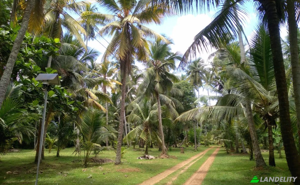 Bungalow for Sale Dummalasuriya, Puttalam, North Western Province, Sri Lanka. Photo 2