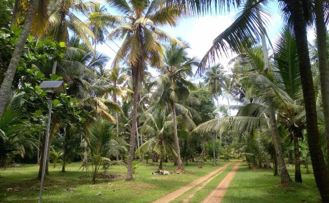 Bungalow for Sale Dummalasuriya, Puttalam. Photo#2 Bungalow for Sale Dummalasuriya, Puttalam. Photo#2