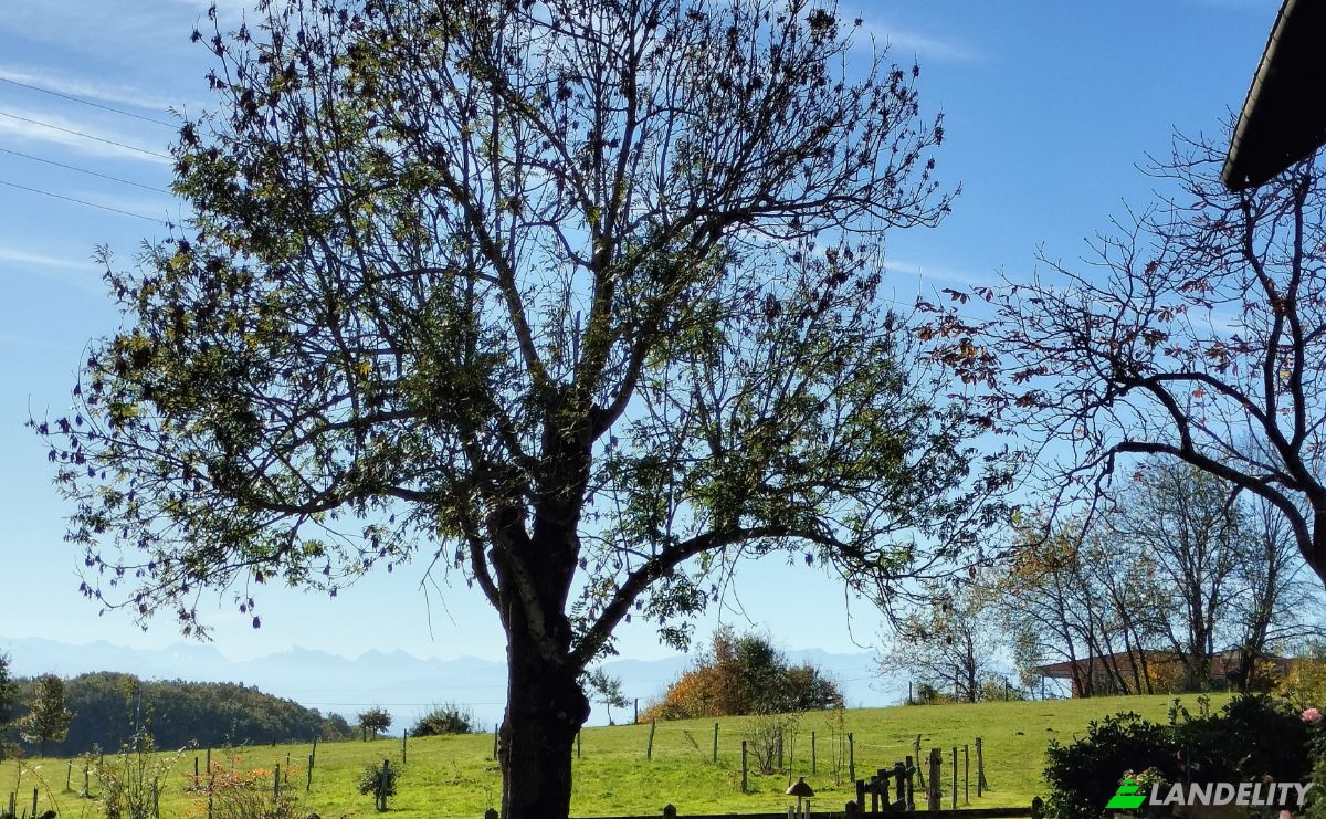 Farm/Ranch for Sale Chemin de, La Serre, 32170 Sarraguzan, Sarraguzan, Gers, Occitanie, France. Photo 2