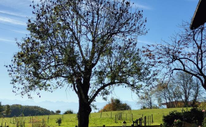 Farm/Ranch for Sale Chemin de, La Serre. Photo#2