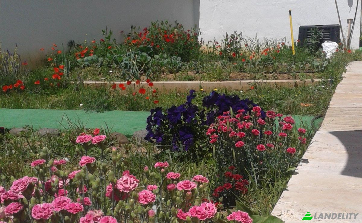 Single Family Home for Sale C Sta Cruz, Picon, Ciudad Real, Castile-La Mancha, Spain. Photo 20