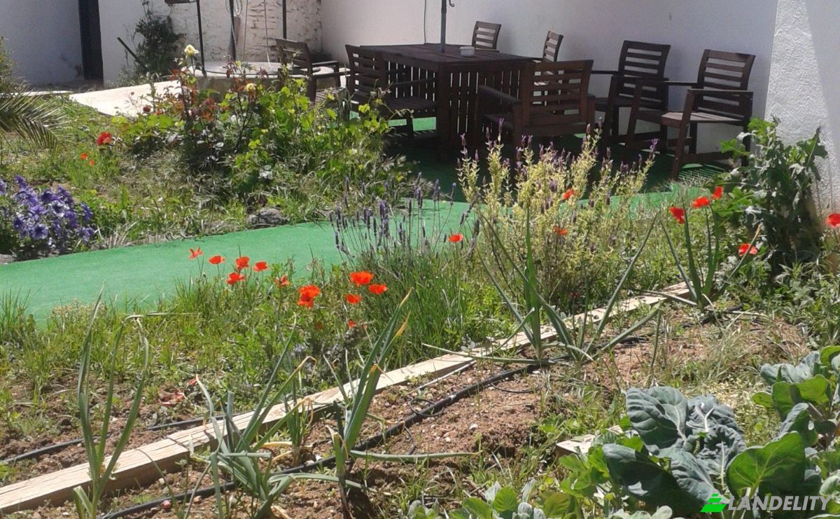 Single Family Home for Sale C Sta Cruz, Picon, Ciudad Real, Castile-La Mancha, Spain. Photo 22
