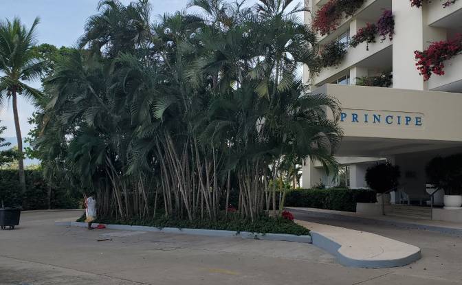 Condo for Sale Monarca, 40880 Ixtapa Zihuatanejo. Photo#2 Condo for Sale Monarca, 40880 Ixtapa Zihuatanejo. Photo#2