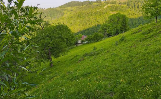 Investing/Development for Sale - Izvoarele, Romania