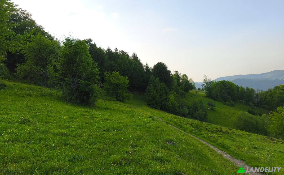 Інвестиції/Девелопмент продаж DC259, Izvoarele, Garda de Sus, Alba County, Romania. Фото 3