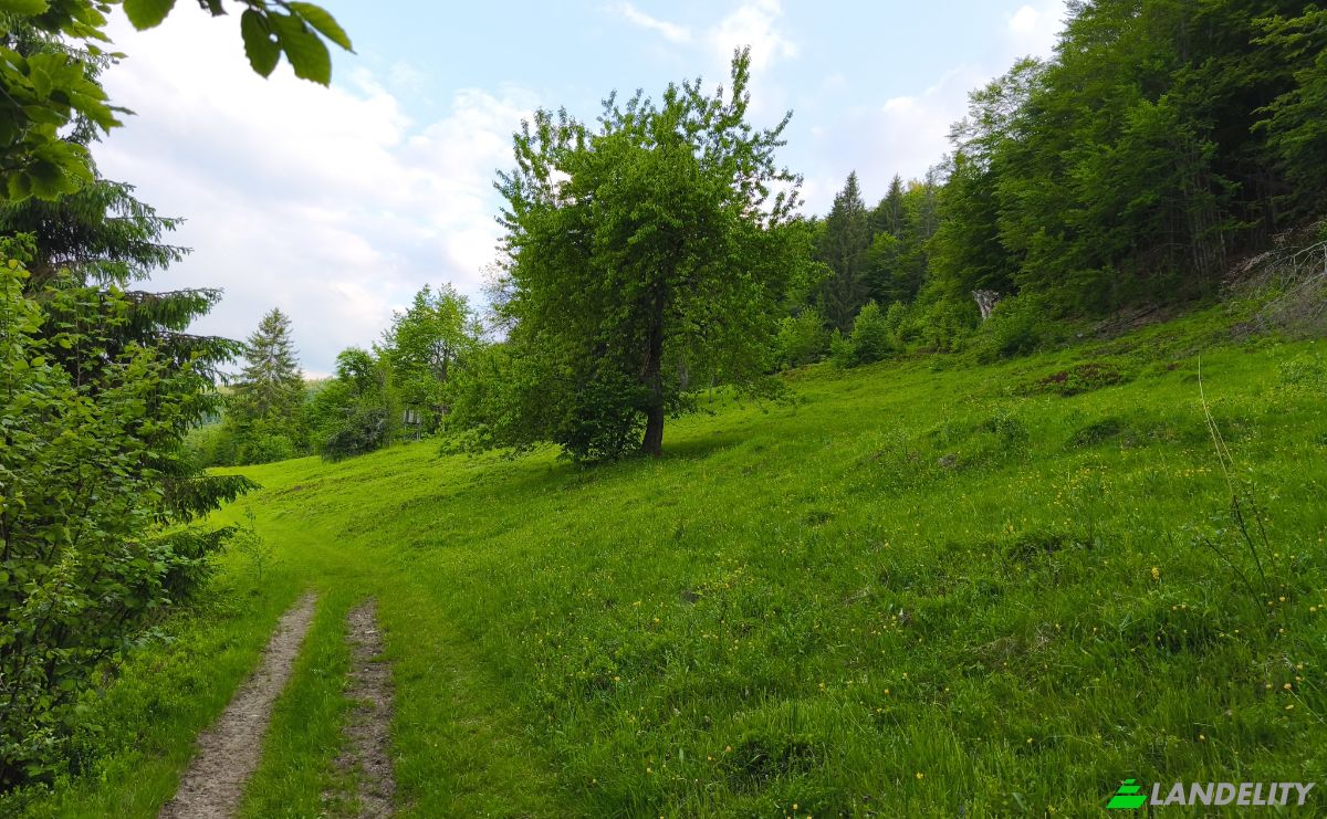 Інвестиції/Девелопмент продаж DC259, Izvoarele, Garda de Sus, Alba County, Romania. Фото 4