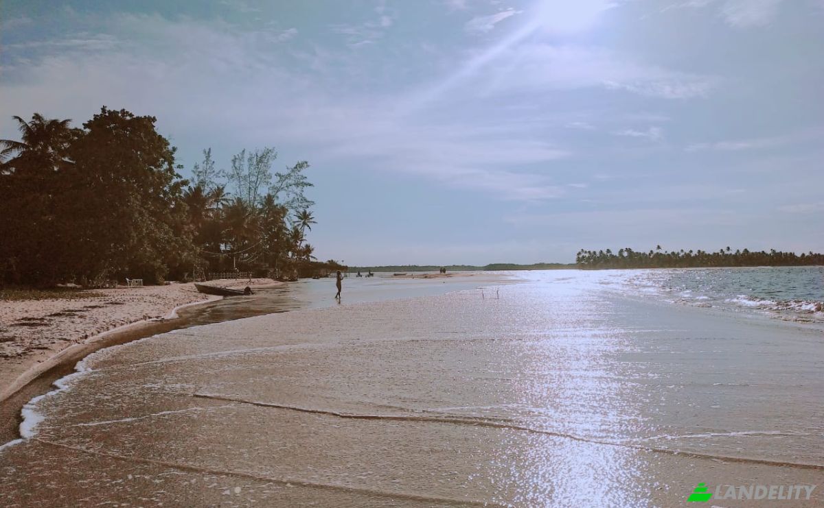 Investing/Development for Sale Trilha para Praia da Barra, Velha Boipeba, Cairu, State of Bahia, Brazil, 45420-000. Photo 5