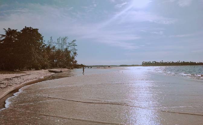 Investing/Development for Sale Trilha para Praia. Photo#5