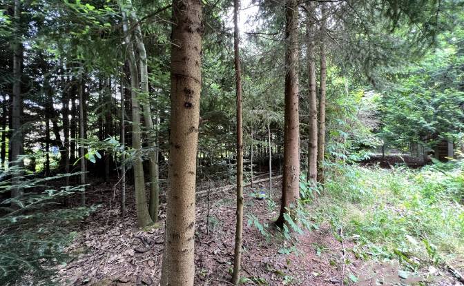 Investing/Development for Sale Dolna 25. Photo#10