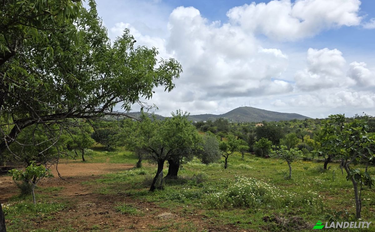 Land Lot for Sale CM1314, 8005 Estoi, Estoi, Faro, Faro District, Portugal. Photo 9