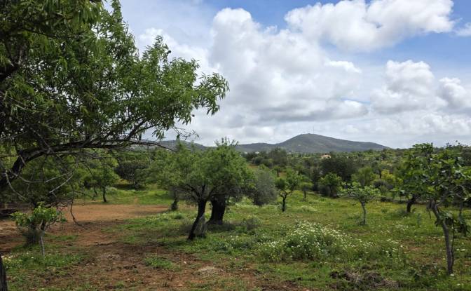 Land Lot for Sale CM1314, 8005 Estoi, Estoi, Faro. Photo#9 Land Lot for Sale CM1314, 8005 Estoi, Estoi, Faro. Photo#9