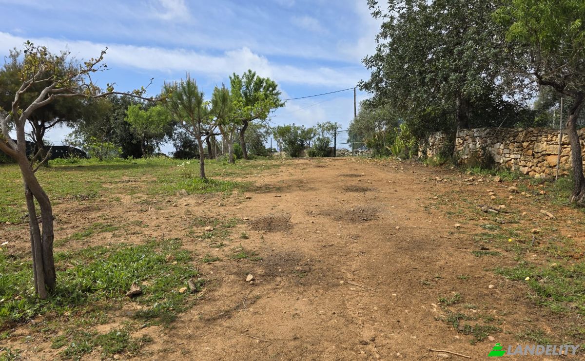 Land Lot for Sale CM1314, 8005 Estoi, Estoi, Faro, Faro District, Portugal. Photo 10