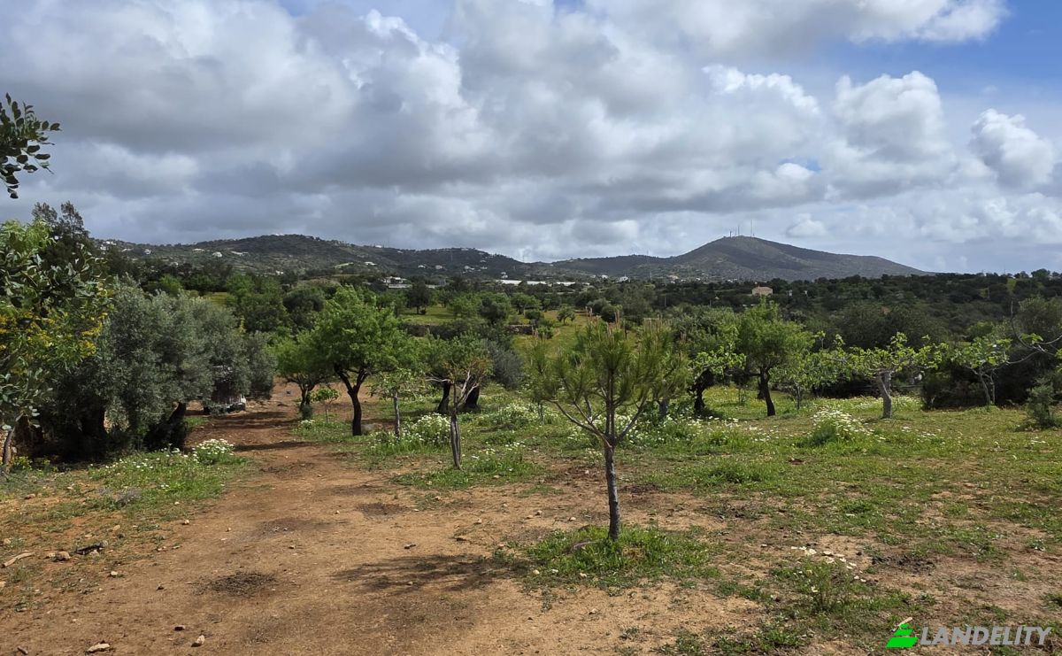 Land Lot for Sale CM1314, 8005 Estoi, Estoi, Faro, Faro District, Portugal. Photo 11