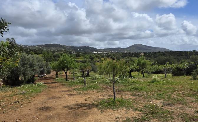 Land Lot for Sale CM1314, 8005 Estoi, Estoi, Faro. Photo#11 Land Lot for Sale CM1314, 8005 Estoi, Estoi, Faro. Photo#11