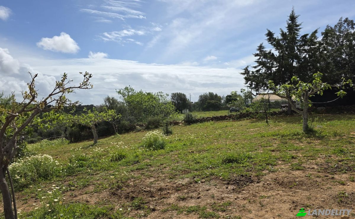 Land Lot for Sale CM1314, 8005 Estoi, Estoi, Faro, Faro District, Portugal. Photo 12