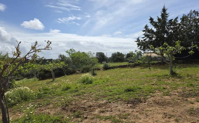 Land Lot for Sale CM1314, 8005 Estoi, Estoi, Faro. Photo#12 Land Lot for Sale CM1314, 8005 Estoi, Estoi, Faro. Photo#12