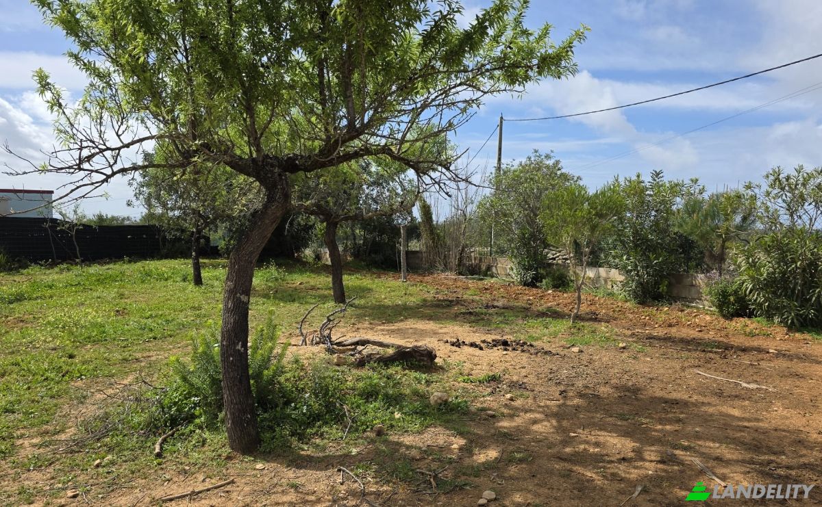 Land Lot for Sale CM1314, 8005 Estoi, Estoi, Faro, Faro District, Portugal. Photo 15