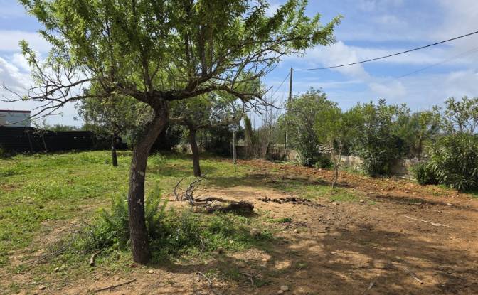 Land Lot for Sale CM1314, 8005 Estoi, Estoi, Faro. Photo#15 Land Lot for Sale CM1314, 8005 Estoi, Estoi, Faro. Photo#15