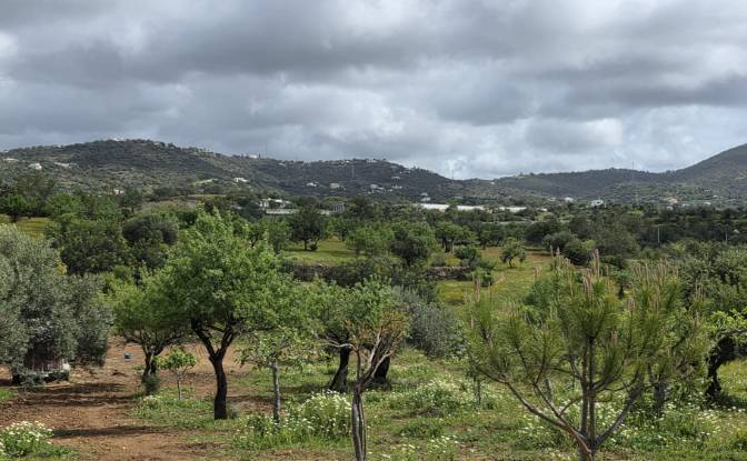 Land Lot for Sale CM1314, 8005 Estoi, Estoi, Faro. Photo#2 Land Lot for Sale CM1314, 8005 Estoi, Estoi, Faro. Photo#2