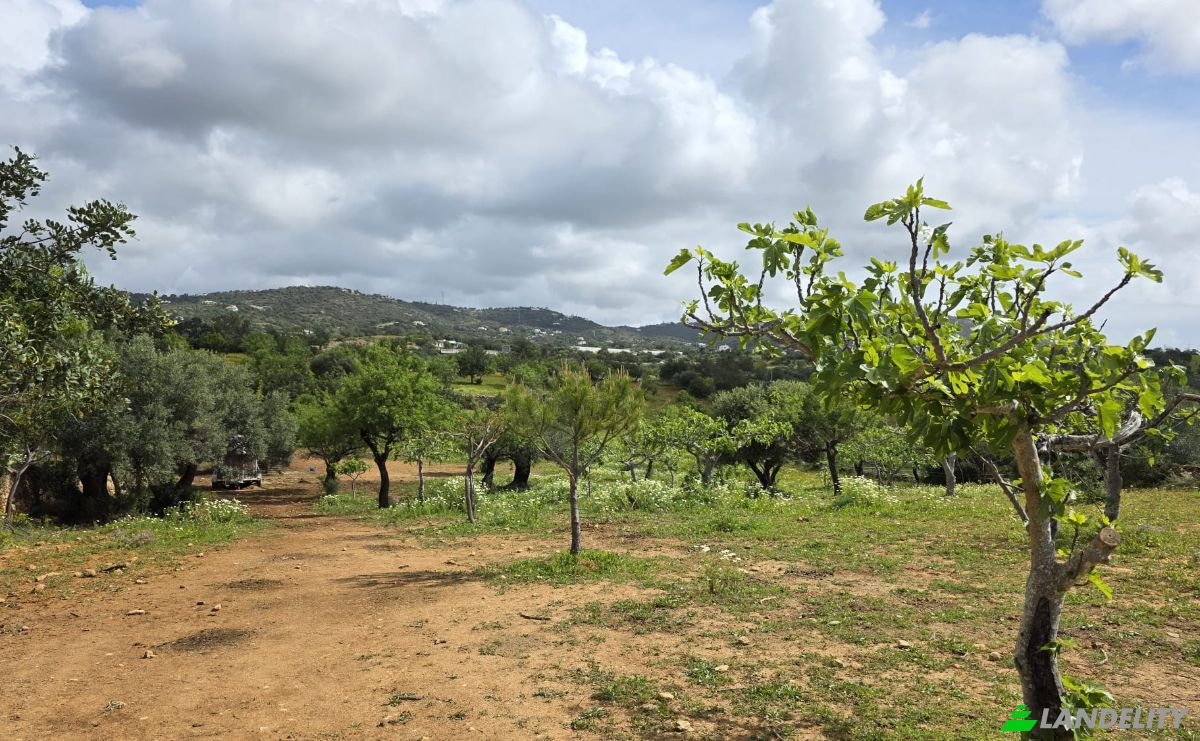 Land Lot for Sale CM1314, 8005 Estoi, Estoi, Faro, Faro District, Portugal. Photo 4