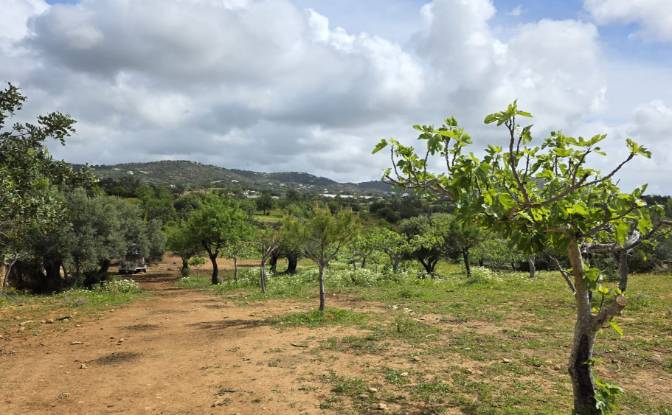 Land Lot for Sale CM1314, 8005 Estoi, Estoi, Faro. Photo#4 Land Lot for Sale CM1314, 8005 Estoi, Estoi, Faro. Photo#4