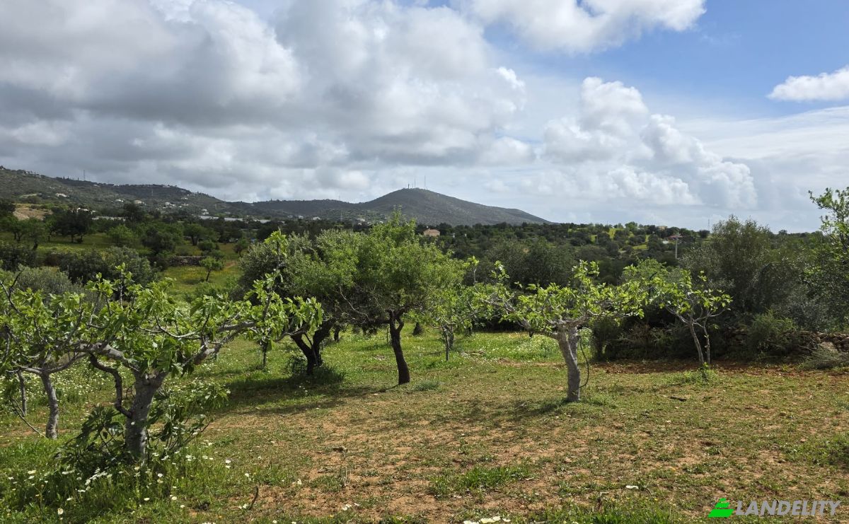Land Lot for Sale CM1314, 8005 Estoi, Estoi, Faro, Faro District, Portugal. Photo 5