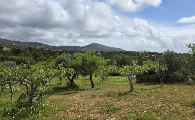 Land Lot for Sale CM1314, 8005 Estoi, Estoi, Faro. Photo#5 Land Lot for Sale CM1314, 8005 Estoi, Estoi, Faro. Photo#5