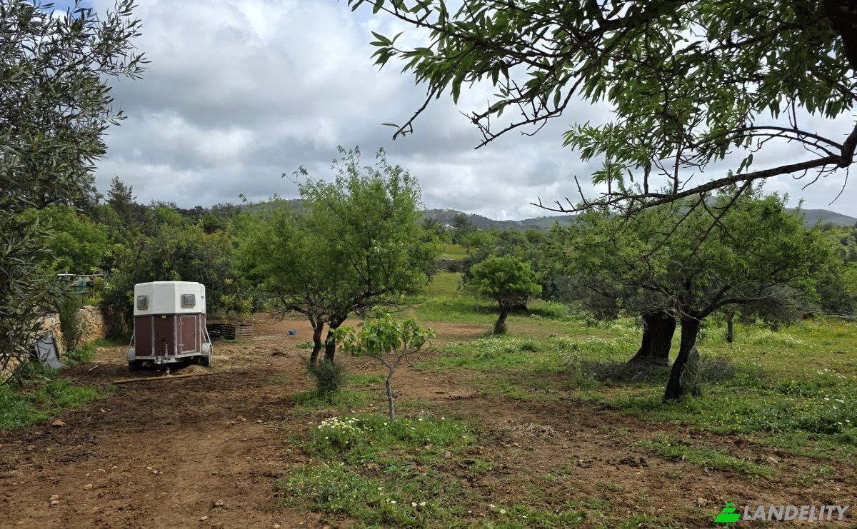 Land Lot for Sale CM1314, 8005 Estoi, Estoi, Faro, Faro District, Portugal. Photo 6