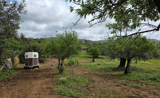 Land Lot for Sale CM1314, 8005 Estoi, Estoi, Faro. Photo#6 Land Lot for Sale CM1314, 8005 Estoi, Estoi, Faro. Photo#6