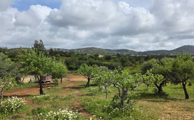 Land Lot for Sale CM1314, 8005 Estoi, Estoi, Faro. Photo#8 Land Lot for Sale CM1314, 8005 Estoi, Estoi, Faro. Photo#8