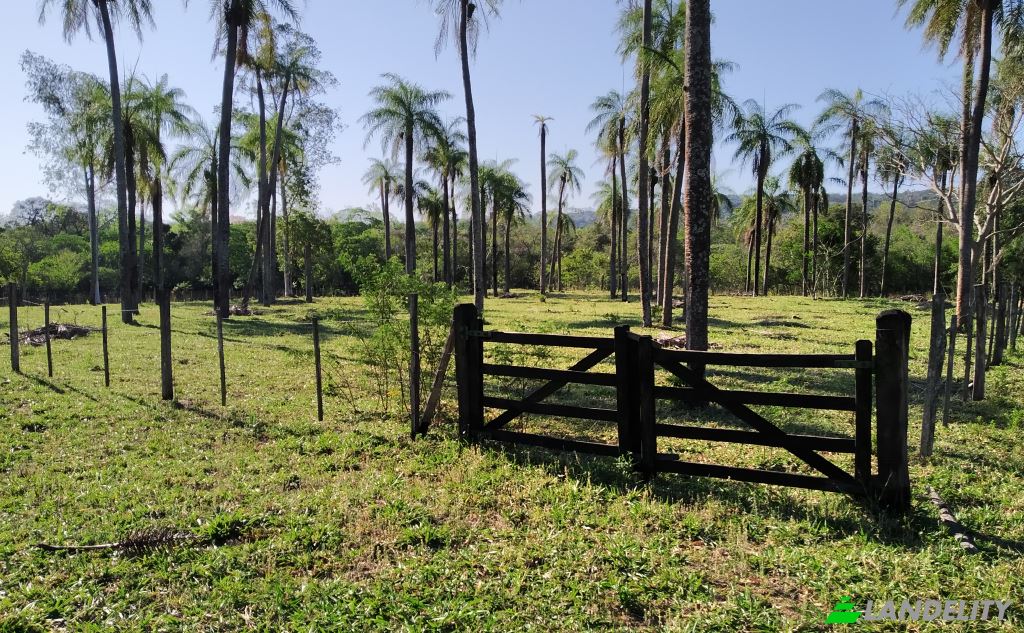 Lote de terreno à venda De Mayo, Cerro Ice, Acahay, Paraguari Department, Paraguay. foto 10