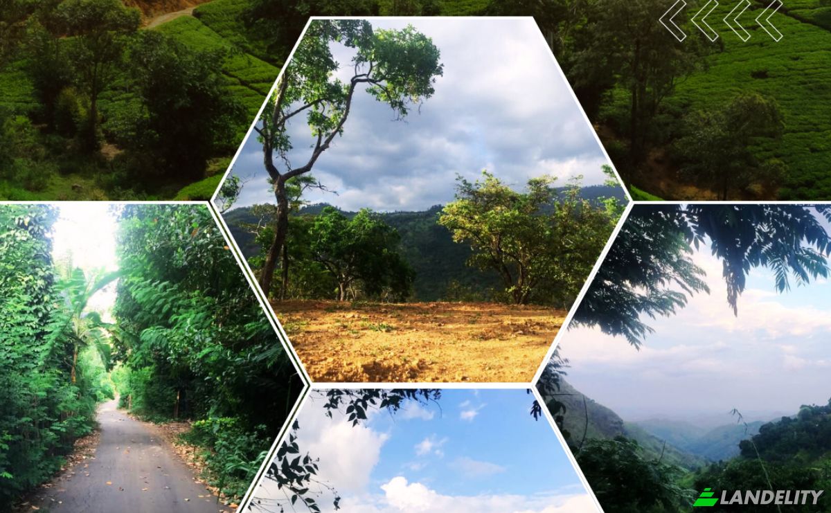 Investing/Development for Sale Karandagolla, Illukpelessa, Badulla, Uva Province, Sri Lanka. Photo 1