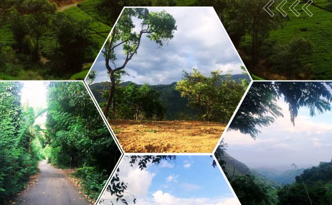 Investing/Development for Sale - Illukpelessa, Sri Lanka