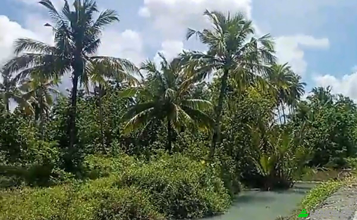 Land Lot for Sale Sipora Jaya, Mentawai Islands Regency, West Sumatra, Indonesia, North Sipora, West Sumatra 25932. Photo 10