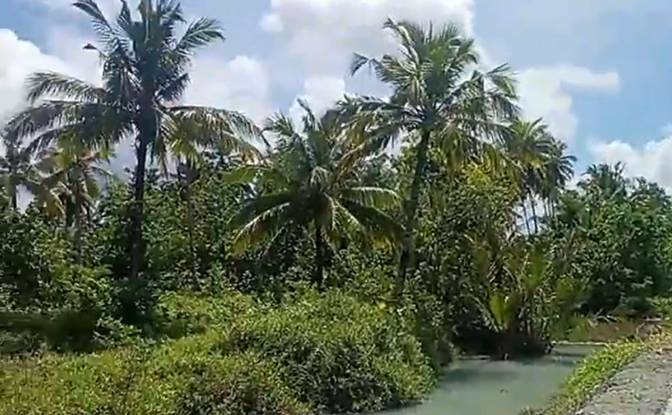 Land Lot for Sale Sipora Jaya. Photo#10