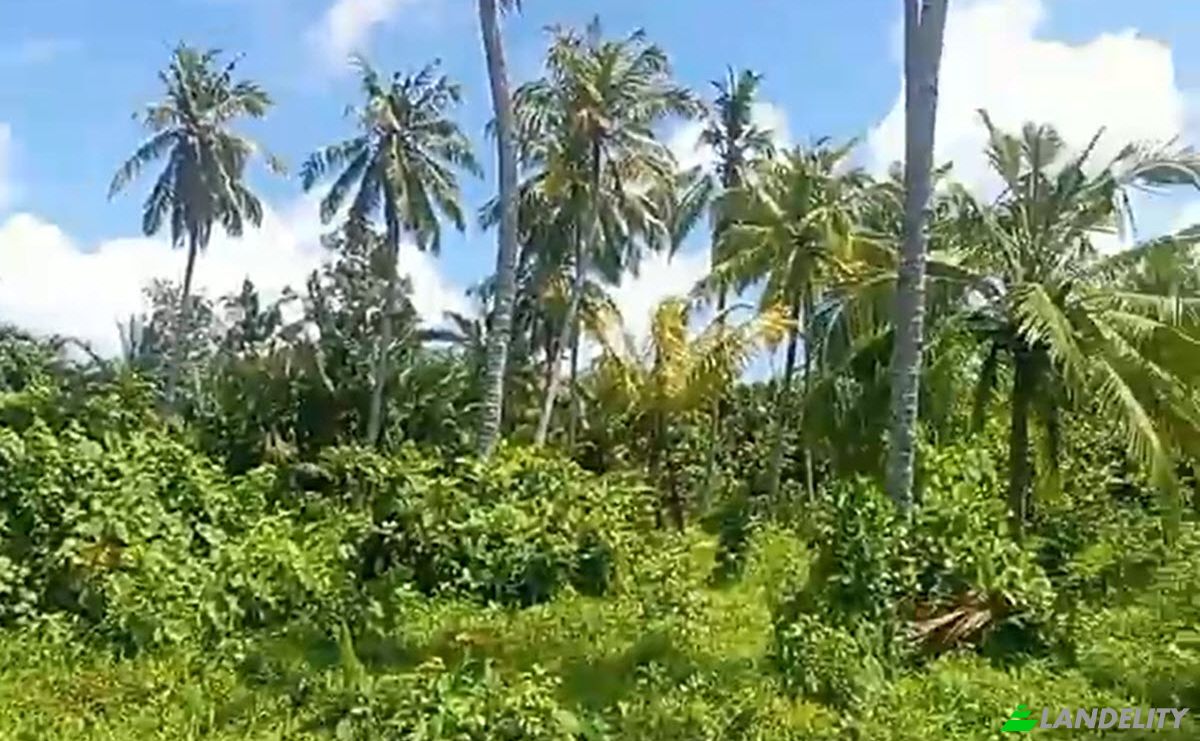 Land Lot for Sale Sipora Jaya, Mentawai Islands Regency, West Sumatra, Indonesia, North Sipora, West Sumatra 25932. Photo 11