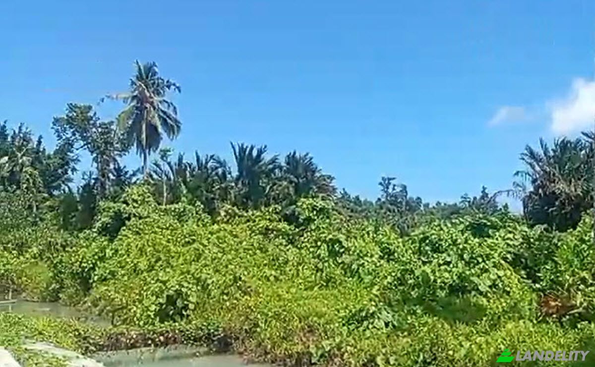 Land Lot for Sale Sipora Jaya, Mentawai Islands Regency, West Sumatra, Indonesia, North Sipora, West Sumatra 25932. Photo 9