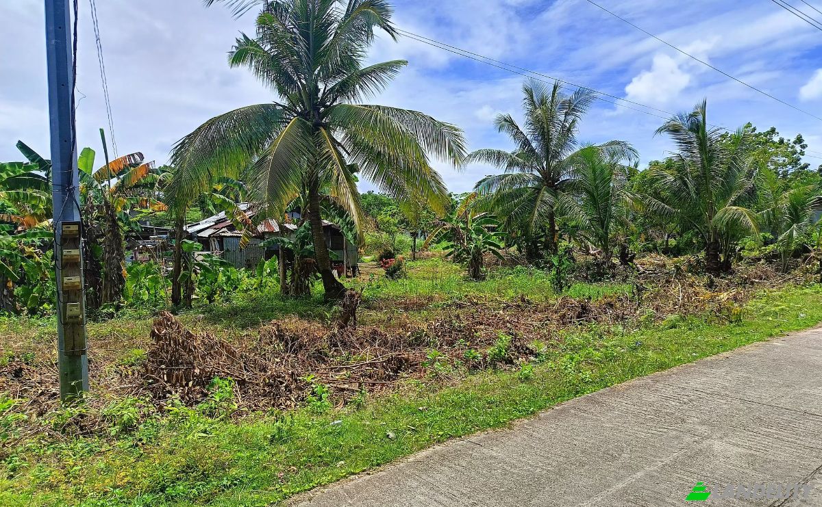 Land Lot for Sale Guiuan, Eastern Samar, Eastern Visayas, Philippines. Photo 10