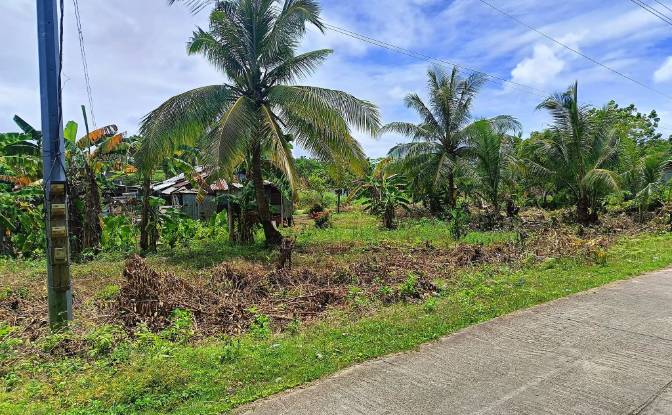 Land Lot for Sale Guiuan, Eastern Samar. Photo#10 Land Lot for Sale Guiuan, Eastern Samar. Photo#10