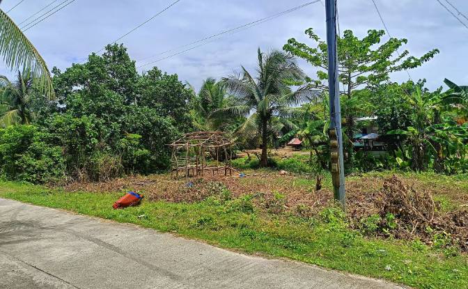 Land Lot for Sale Guiuan, Eastern Samar. Photo#11 Land Lot for Sale Guiuan, Eastern Samar. Photo#11