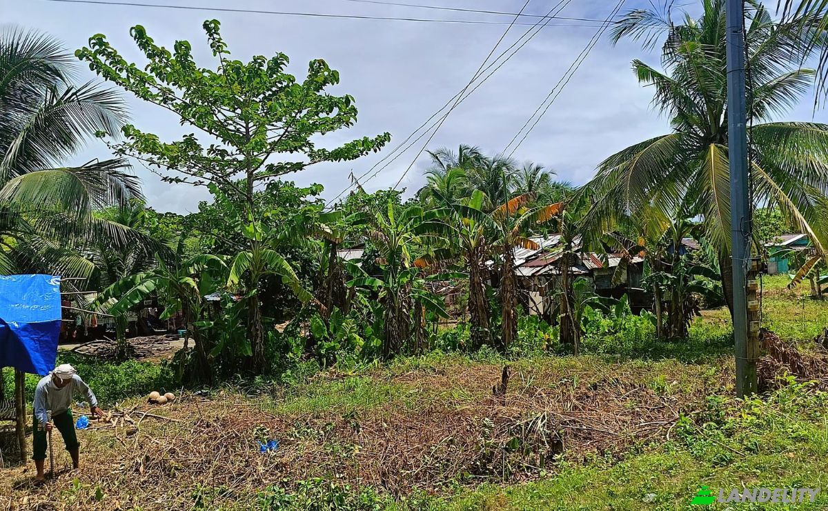 Land Lot for Sale Guiuan, Eastern Samar, Eastern Visayas, Philippines. Photo 2