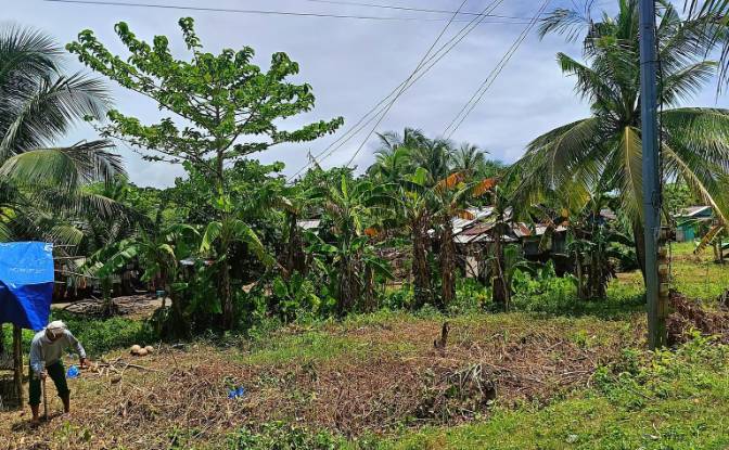 Land Lot for Sale Guiuan, Eastern Samar. Photo#2 Land Lot for Sale Guiuan, Eastern Samar. Photo#2