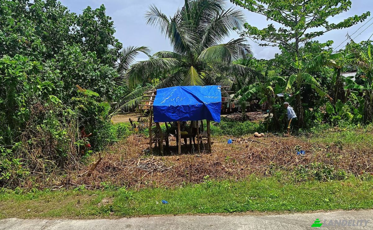 Land Lot for Sale Guiuan, Eastern Samar, Eastern Visayas, Philippines. Photo 3