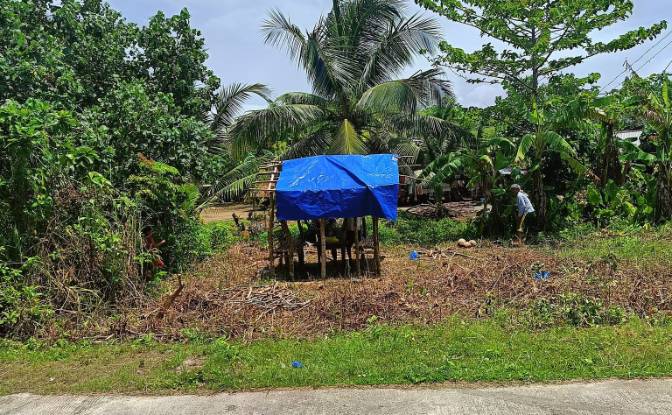 Land Lot for Sale Guiuan, Eastern Samar. Photo#3 Land Lot for Sale Guiuan, Eastern Samar. Photo#3