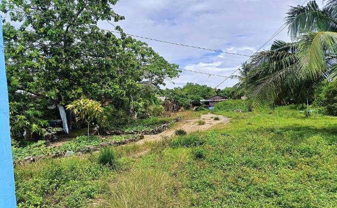 Land Lot for Sale Guiuan, Eastern Samar. Photo#5 Land Lot for Sale Guiuan, Eastern Samar. Photo#5
