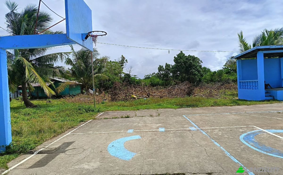 Land Lot for Sale Guiuan, Eastern Samar, Eastern Visayas, Philippines. Photo 6