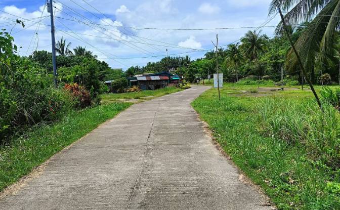 Land Lot for Sale Guiuan, Eastern Samar. Photo#8 Land Lot for Sale Guiuan, Eastern Samar. Photo#8